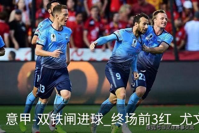 意甲-双铁闸进球 终场前3红 尤文2球落后2-2战平